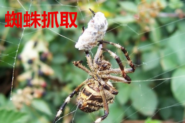 银盛聚合收款码赋能商户数字化转型，重塑支付新体验